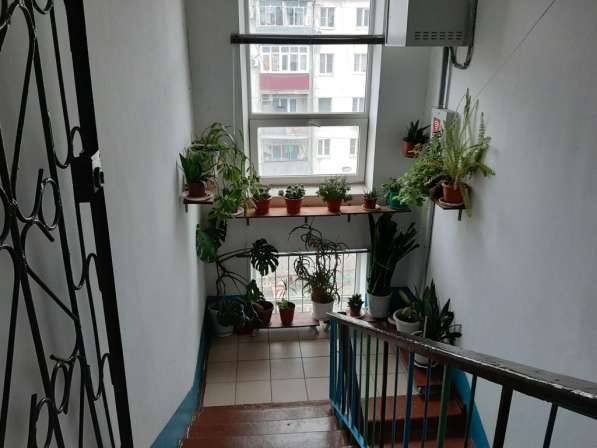Купить однокомнатную квартиру в центре Новороссийска в Новороссийске фото 4