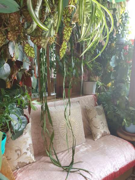 ДИВАН в Тольятти фото 7