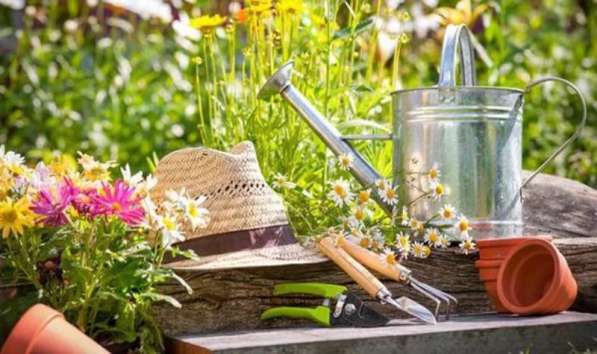 Кадастровый инженер в Саратове фото 4