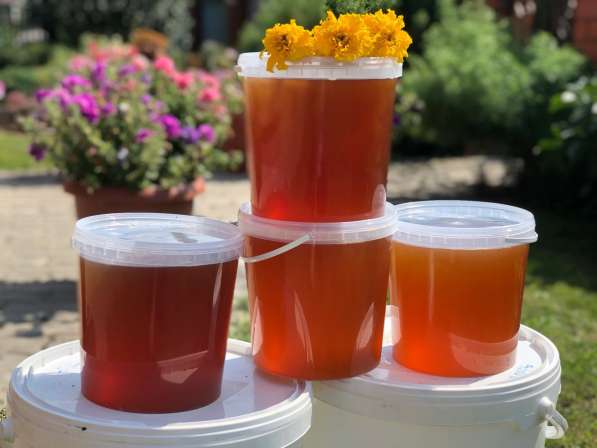 Свежий Алтайский мёд с личной пасеки в Новосибирске