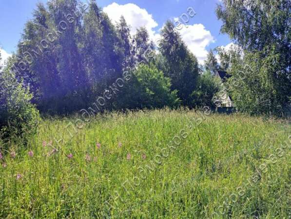 realty_mapper3.plot_in_locationСадовое некоммерческое тов-во. Площадь 12.00 сот.Есть Электричество. в Москве фото 6