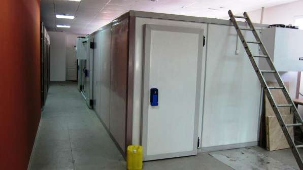 Холодильные сплит-системы в Крыму с установкой. Сервис 24 ч в Симферополе фото 5