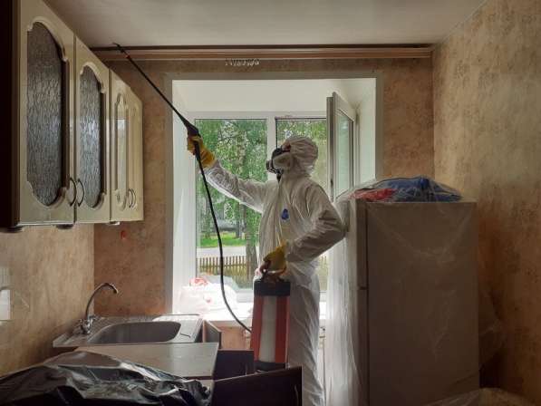 Уничтожим тараканов или вернем деньги