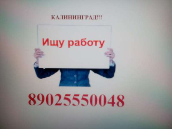 Кто ищет работу