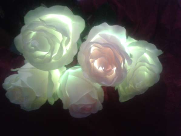Светящиеся розы