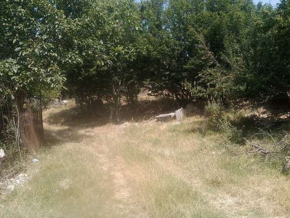 Продам земельный участок в Алуште фото 8