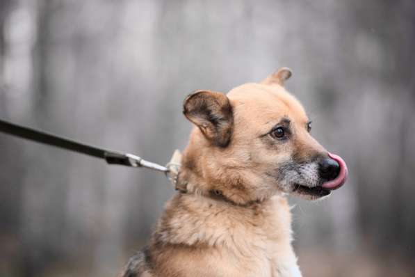 Харизматичный Марк ищет дом в Москве фото 32