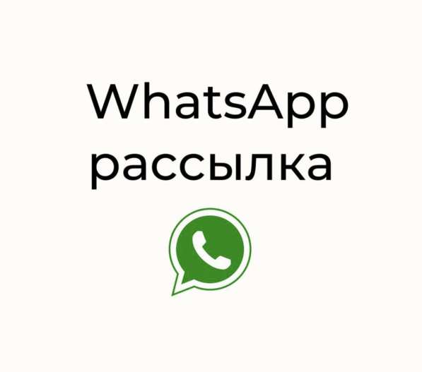 WhatsApp рассылка с детальным видео отчётом