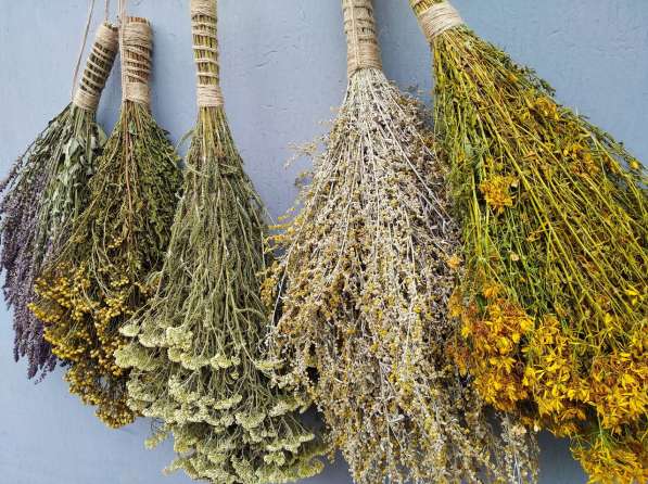 Веники для бани и сауны в фото 3