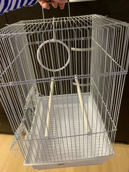 Клетка для попугаев