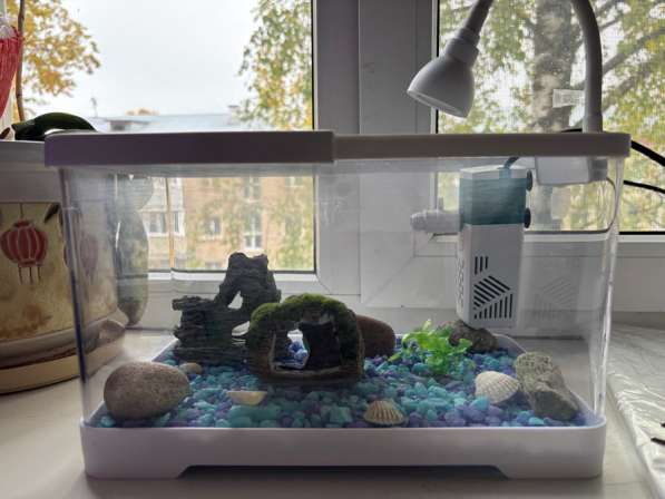 Аквариум 8 литров