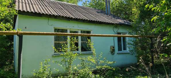 Продам дом в с. Измалково в Елеце фото 14