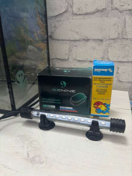 Аквариум 20 литров в Ногинске фото 8