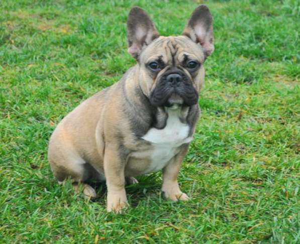 Подрощенная девочка в Москве фото 10