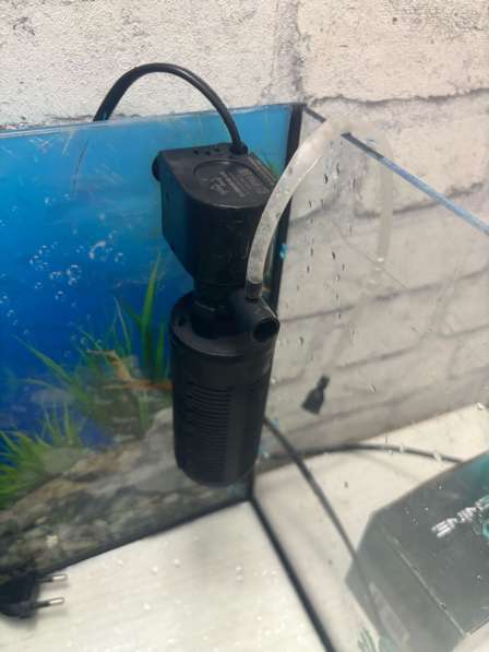 Аквариум 20 литров в Ногинске фото 7