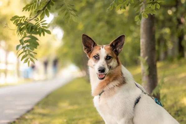 Тунис в поисках любящей семьи в Москве фото 9