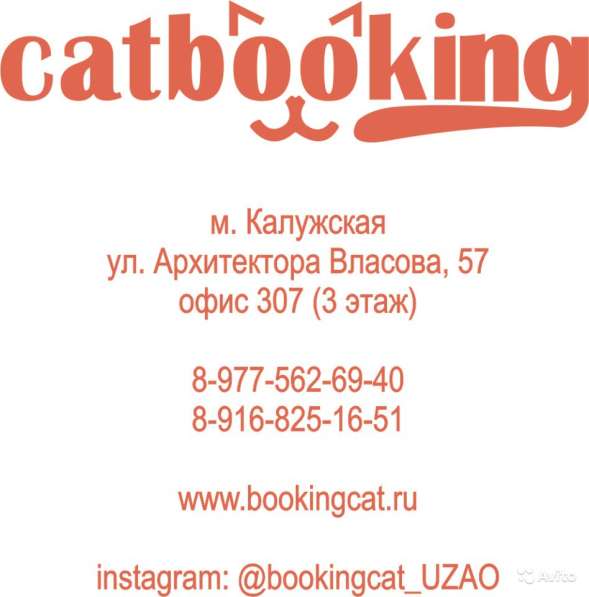 Гостиница для кошек в Москве фото 12