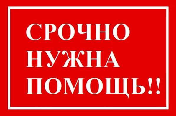 Срочно требуется донор почки в Кыргызстане