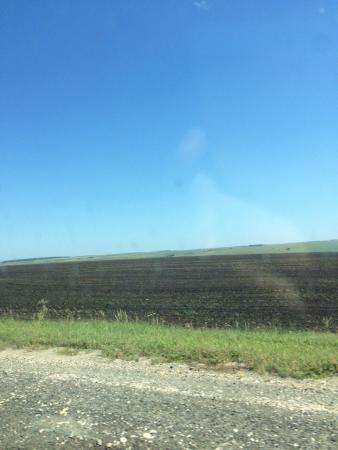 Земля сельхозназначения 1600 га Пенза