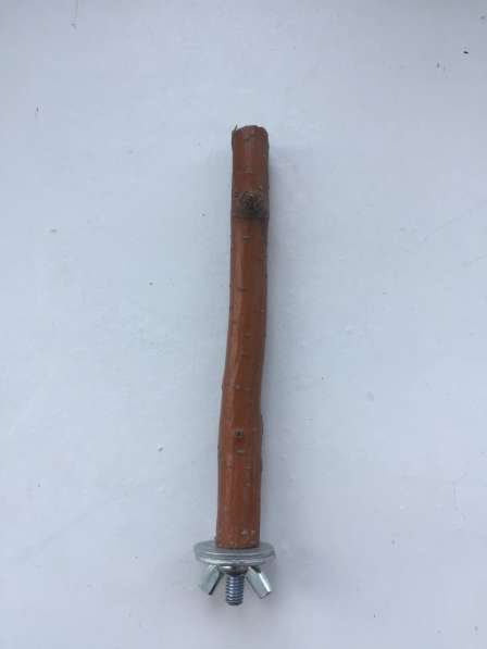 Жердочки для птиц в Екатеринбурге фото 17