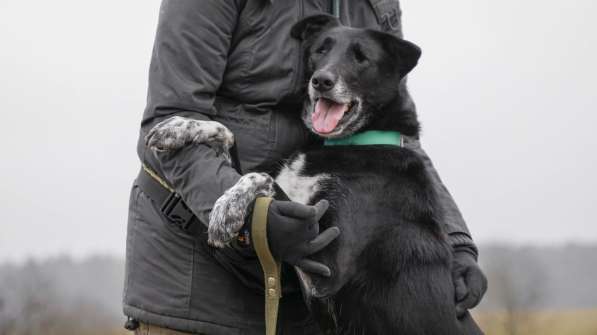 Уникальная Шерри в Москве фото 32