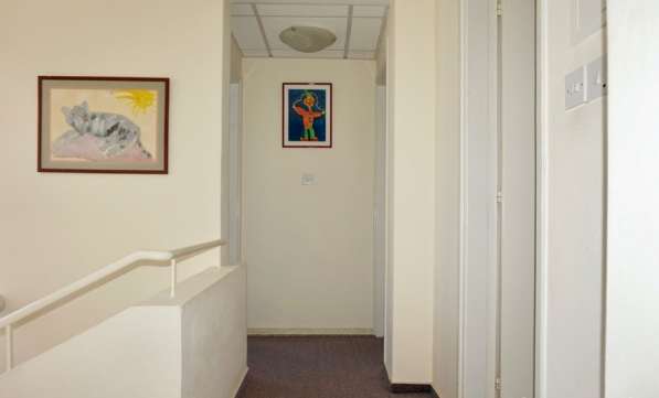 Бунгало в районе Пафоса-Кипр в Москве фото 113