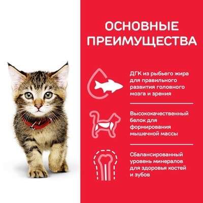 Корм для котят в Мытищи фото 3