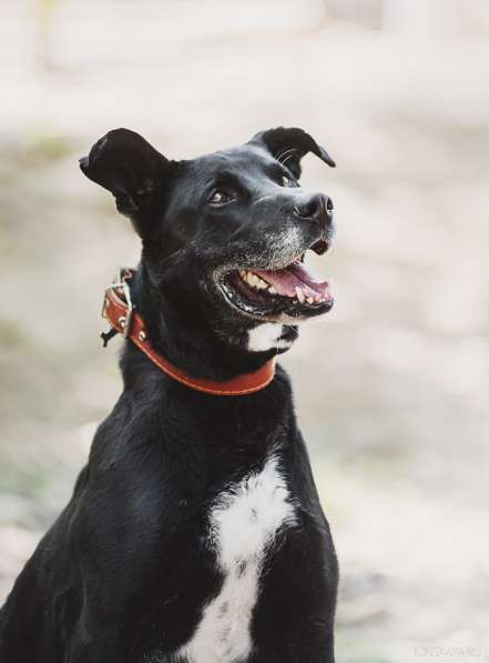 Улыбчивый лучик Фаина ищет семью в Москве фото 35