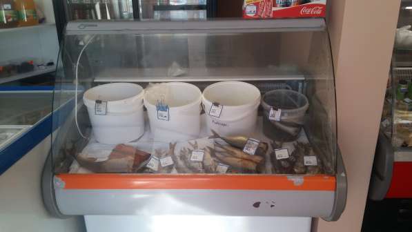 Продам витринные холодильники в Ульяновске фото 4
