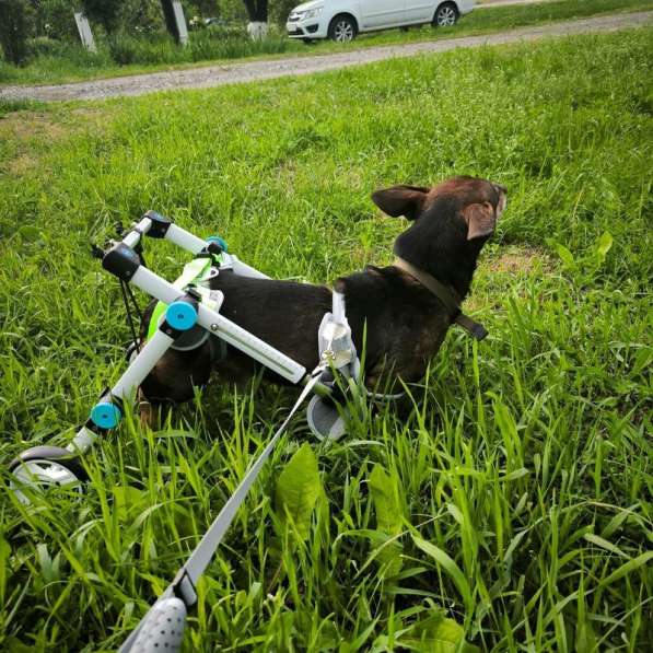 Чудесный мальчик Митя из приюта ищет семью в Санкт-Петербурге фото 3