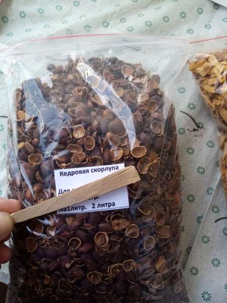 Скорлупа Кедрового ореха