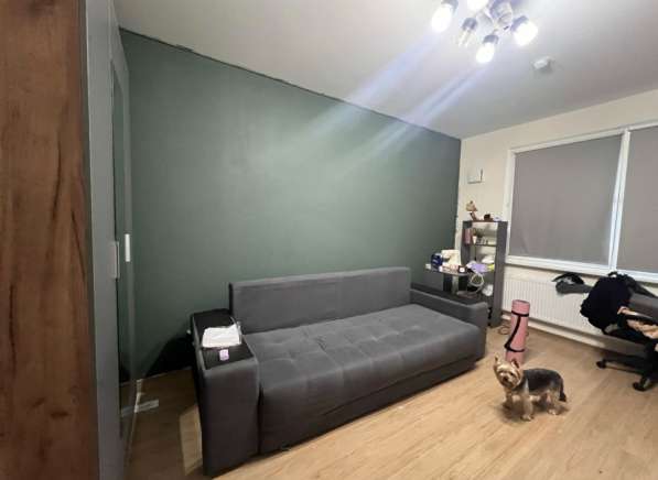 Диван Раскладной Еврокнижка