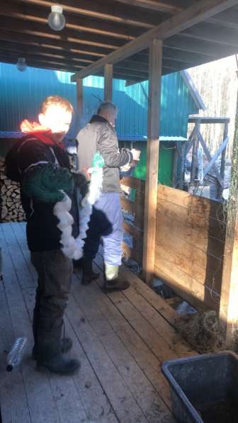 Эвакуатор 24 часа в Санкт-Петербурге фото 10