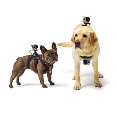 Крепление на собаку для GoPro