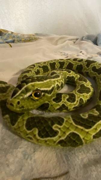 Змея мягкая