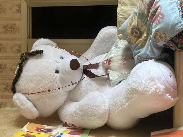 Продам медведя