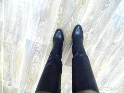 сапоги Carlo Pazolini в Омске фото 3