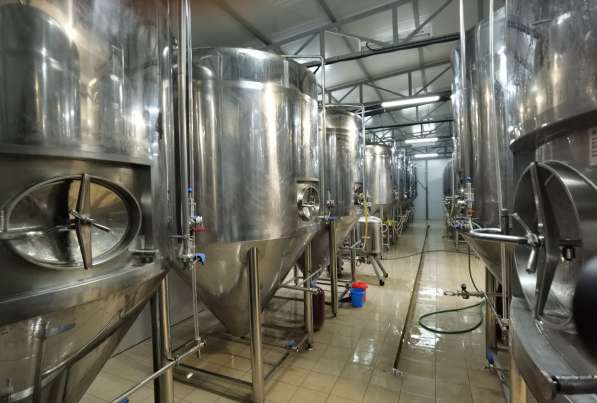 Действующий бизнес-пивоваренный завод с окупаемостью 1-2 год в Крымске фото 4