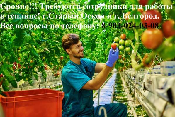 Приглашаем на работу вахтовым методом в Старом Осколе фото 3