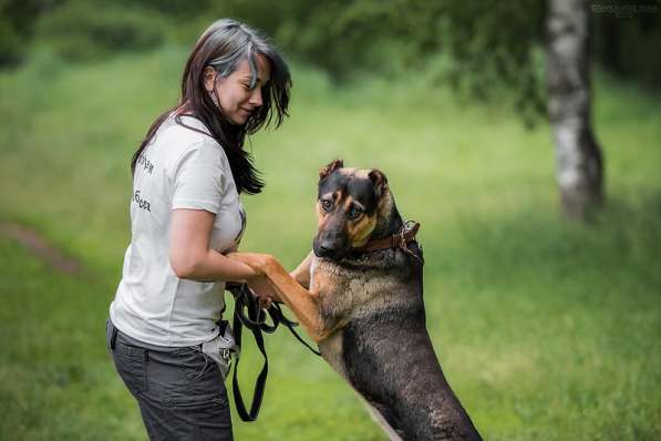 Брюс ищет семью в Москве фото 21