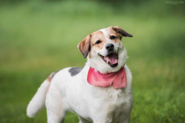 Улыбчивый лучик Фаина ищет семью в Москве фото 16