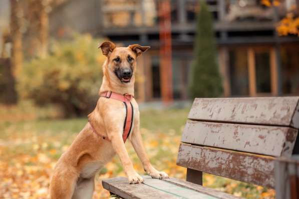 Чудесная Бриа ищет семью в Москве фото 27