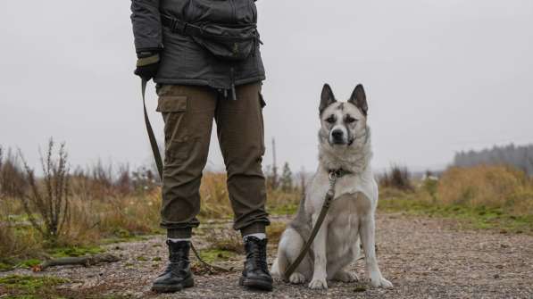 Суперактивная Халва в Москве фото 28