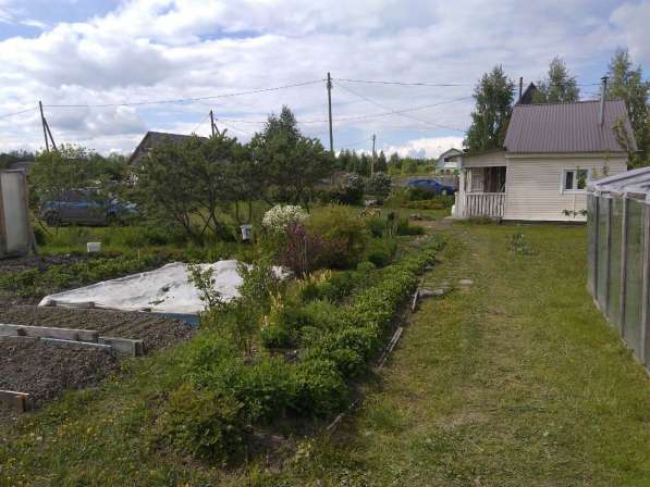 Продам дачу рядом с городом в Петрозаводске фото 6