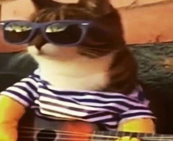 Ищу женщину, хоть какую нибудь