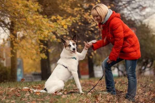 Тунис в поисках любящей семьи в Москве фото 31
