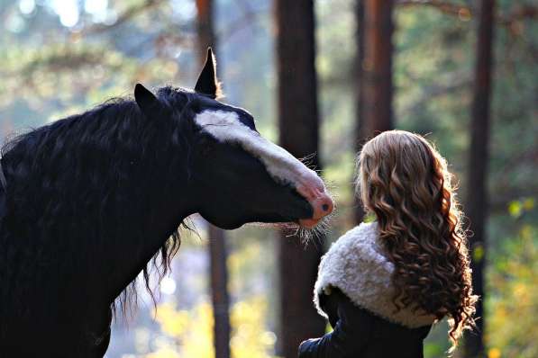 Фотосессия с лошадьми! в Красноярске фото 4