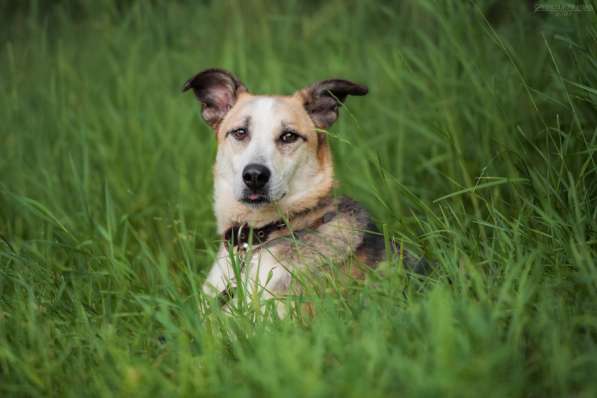 Молодой энергичный Майор ищет семью в Москве фото 37