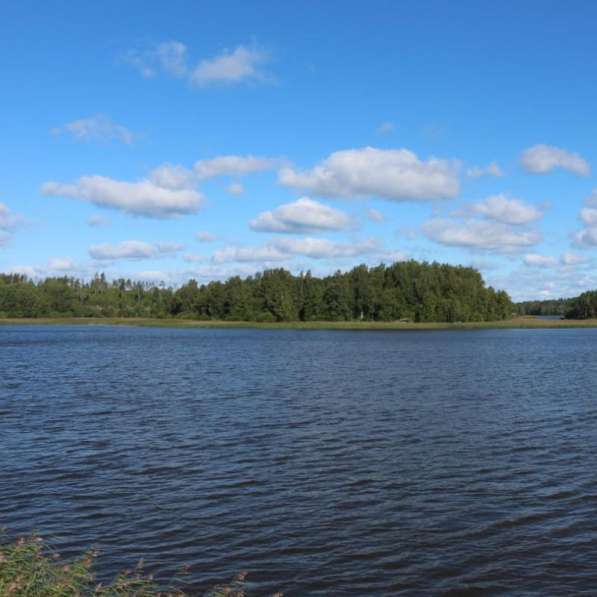 Земельный участок 15 соток у поселка Асилан в Санкт-Петербурге фото 10