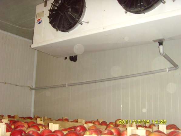 Овощные холодильные камеры в Крыму с установкой. Сервис 24 ч в Симферополе фото 3